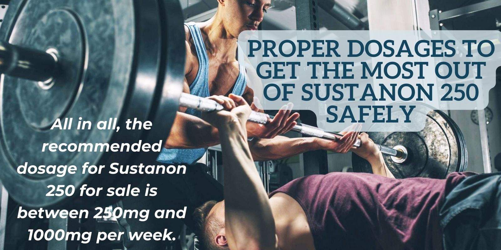 Proper dosages to get the most out of Sustanon 250 safely