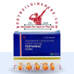 ANDRIOL TESTOCAPS (60 capsules) buy online in the UK - bodybuildinghere.net