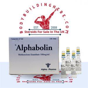 Alphabolin 5 ampoules buy online in the UK - bodybuildinghere.net