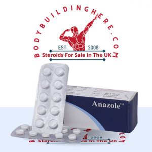 Anazole 1mg (30 pills) buy online in the UK - bodybuildinghere.net