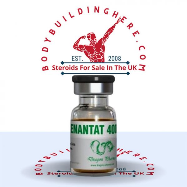 Enanthate 400 10 ml vial buy online in the UK - bodybuildinghere.net