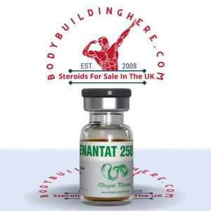 Enanthat 250 buy online in the UK - bodybuildinghere.net