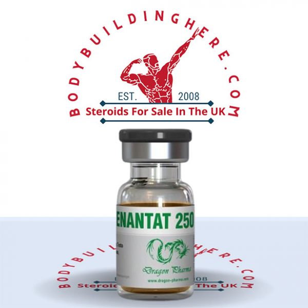 Enanthat 250 buy online in the UK - bodybuildinghere.net