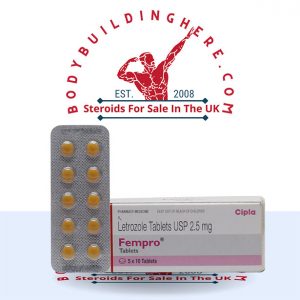 Fempro 2.5mg (10 pills) buy online in the UK - bodybuildinghere.net