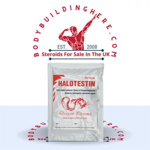 Halotestin 100 tabs buy online in the UK - bodybuildinghere.net