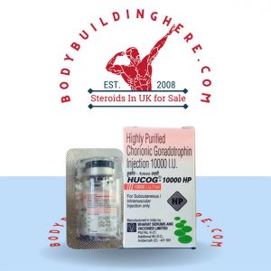 HCG 10000IU 1 vial of 10 000IU buy online in UK - bodybuildinghere.net
