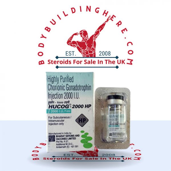 HCG 2000IU buy online in the UK - bodybuildinghere.net