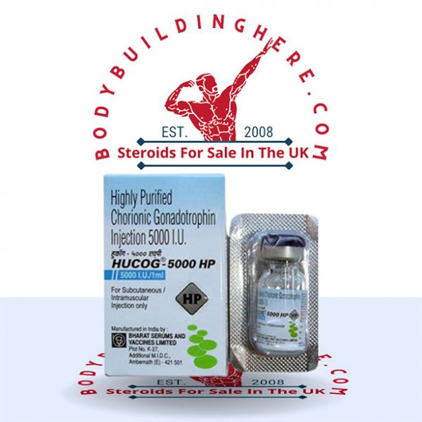 HCG 5000IU buy online in the UK - bodybuildinghere.net