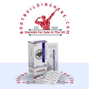 Magnum Anastrol 1mg (50 pills) buy online in the UK - bodybuildinghere.net
