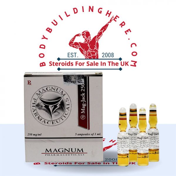 MAGNUM MAG-JACK 250 buy online in the UK - bodybuildinghere.net