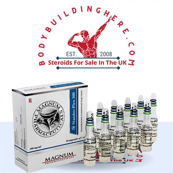 MAGNUM NANDRO-PLEX 300 buy online in the UK - bodybuildinghere.net