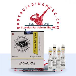 Magnum Stanol-AQ 100 10 ampoules buy online in the UK - bodybuildinghere.net