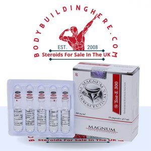 MAGNUM TEST-E 300 buy online in the UK - bodybuildinghere.net