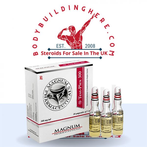 MAGNUM TEST-PLEX 300 buy online in the UK - bodybuildinghere.net