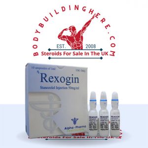 Buy Rexogin 10 ampoules online in the UK - bodybuildinghere.net