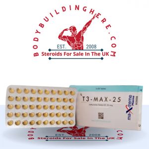 Buy T3-Max-25 25mcg (100 pills) online in the UK - bodybuildinghere.net