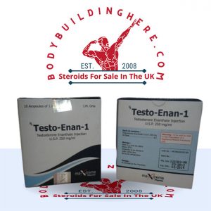 Buy Testo-Enan amp 10 ampoules online in the UK - bodybuildinghere.net