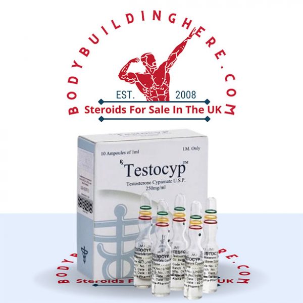 Buy Testocyp 10 ampoules online in the UK - bodybuildinghere.net