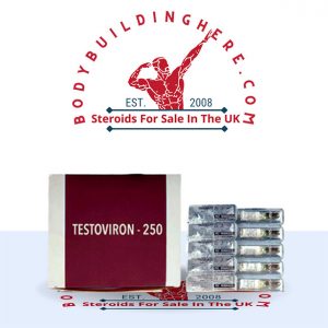 Buy TESTOVIRON-250 online in the UK - bodybuildinghere.net