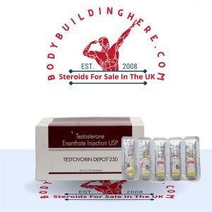 Buy Testovorin Depot-250 10 ampoules online in the UK - bodybuildinghere.net