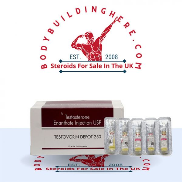 Buy Testovorin Depot-250 10 ampoules online in the UK - bodybuildinghere.net