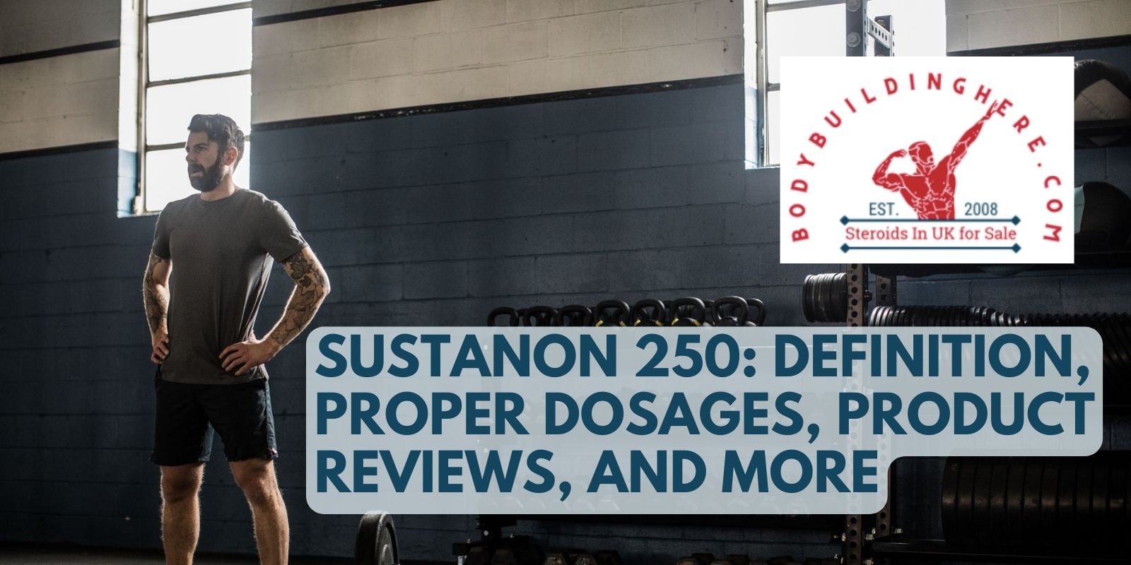 Sustanon 250: Definition, Proper Dosages, Product Reviews, and More